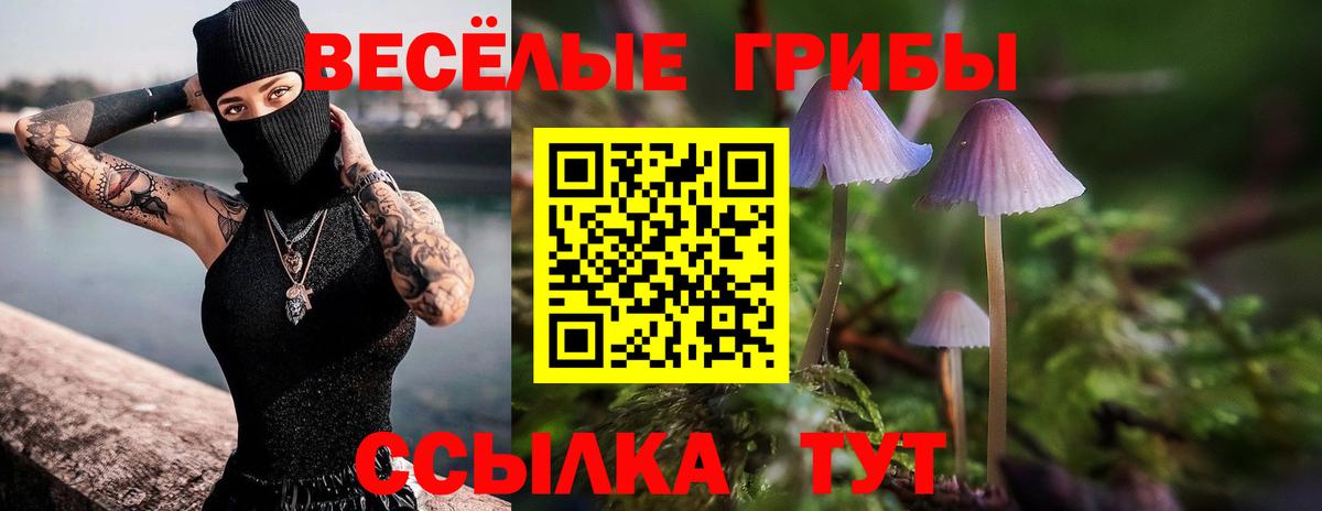 Псилоцибиновые грибы Magic Shrooms  Вход с VPN  Галлюциногенные грибы MAGIC MUSHROOMS  купить наркотик  Углич 